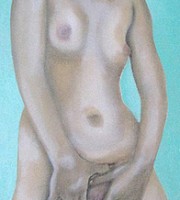 Nude Dog